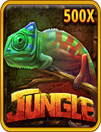 พนันบอล: เคล็ดลับและเทคนิคจากเพื่อนๆ 555